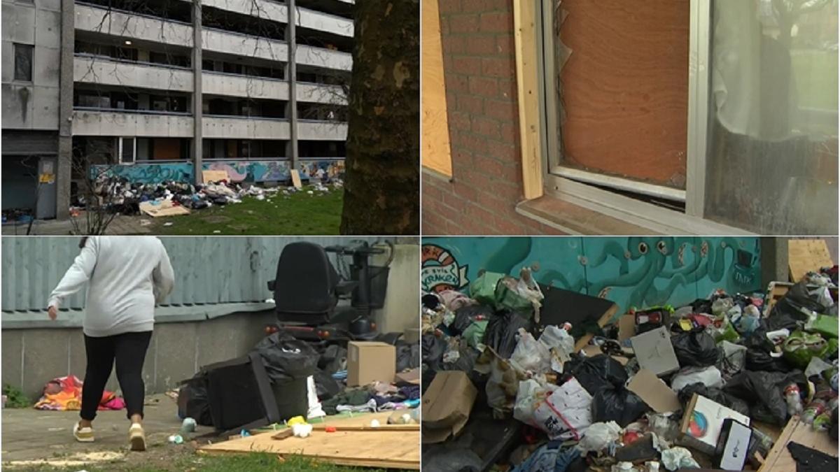 au-fugit-de-saracie--mai-multi-romani-s-au-inghesuit-intr-un-apartament-din-belgia--spre-disperarea-localnicilor-un-joc-de-a-soarecele-si-pisica-1