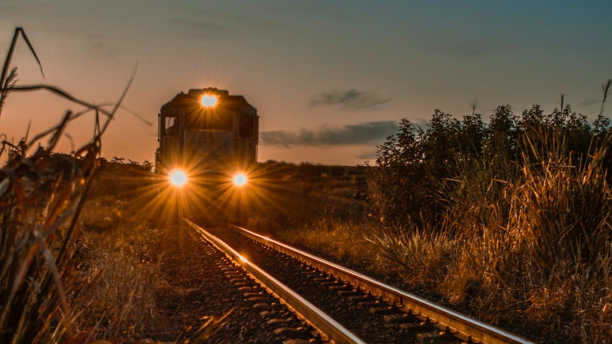 marissa-beletti-fcrvlxkikgy-unsplash