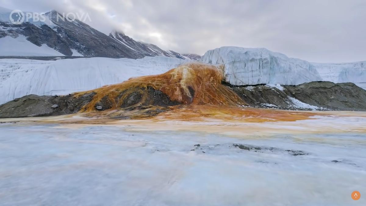 antarctica-casacde-rosii