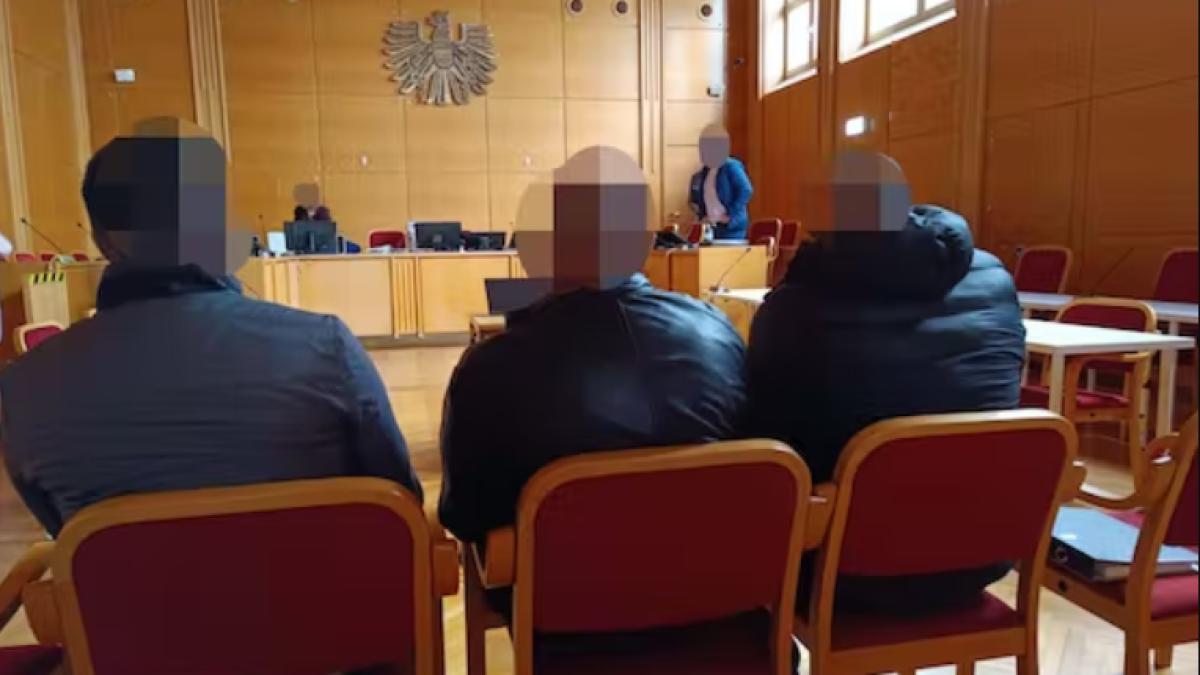 tribunal-belgia-romani