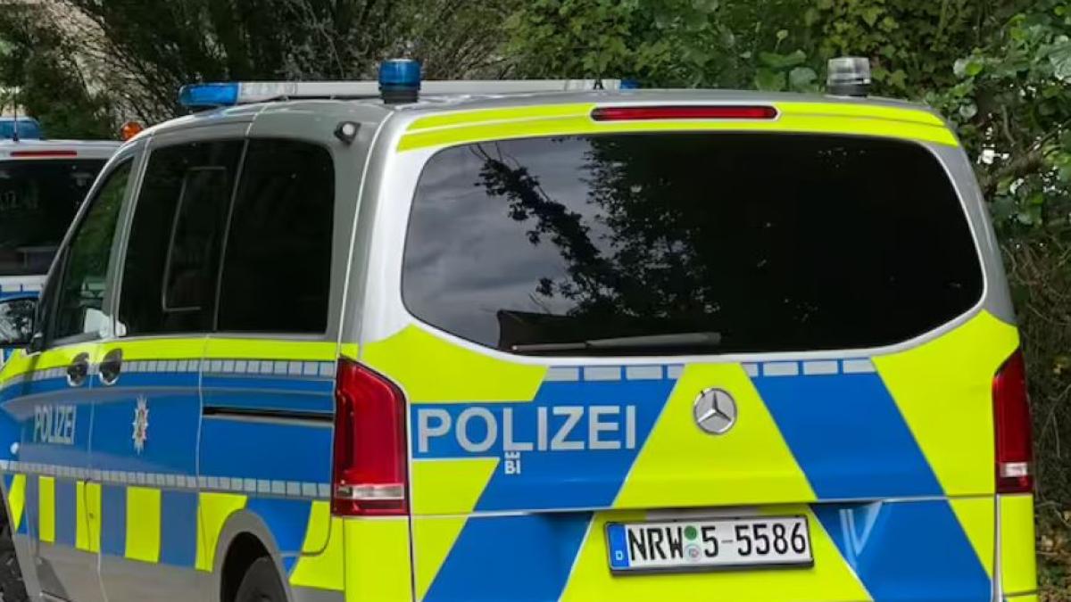 germania--un-barbat-a-atacat-cu-toporul-un-pasager-intr-un-tren--victima-a-ajuns-la-spital