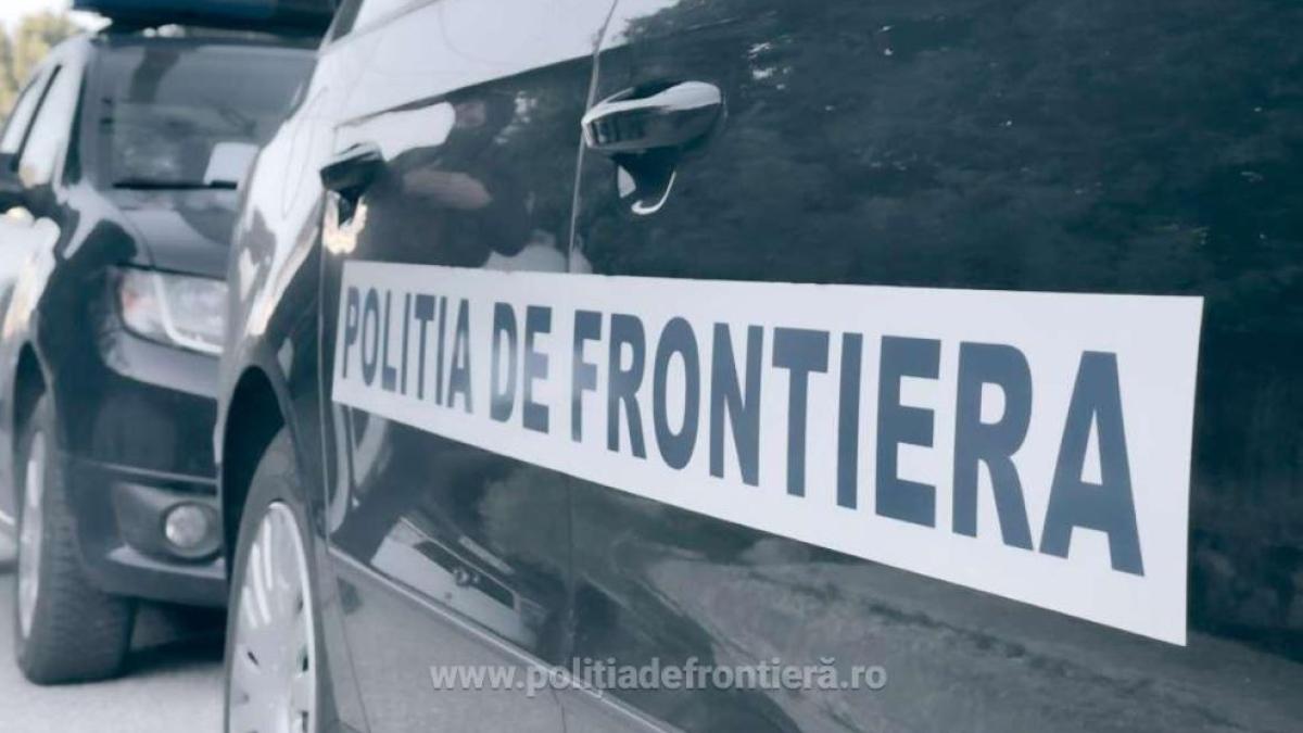 tigari-ascunse-printre-dulciuri--descoperite-de-vamesi-intr-un-tir-venit-din-ucraina