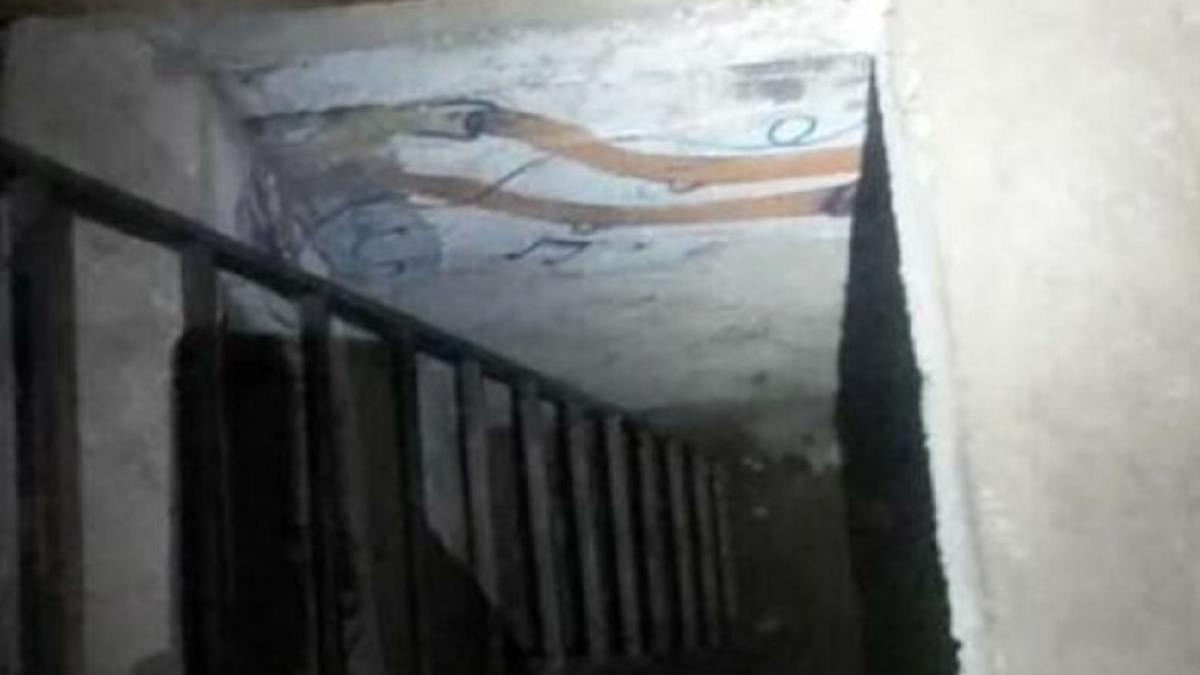 fetita-romanca-de-patru-ani--sechestrata-intr-un-beci-copila-era-tinuta-cu-forta-de-tatal-ei