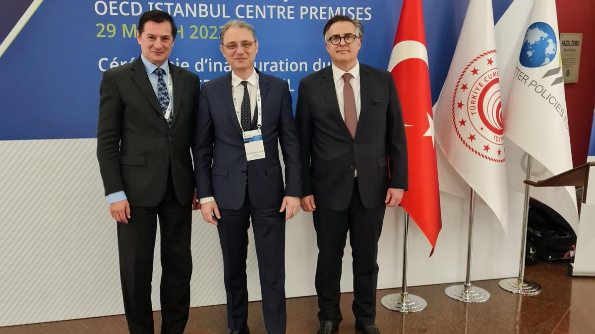 luca-niculescu-secretar-de-stat-ocde-crop