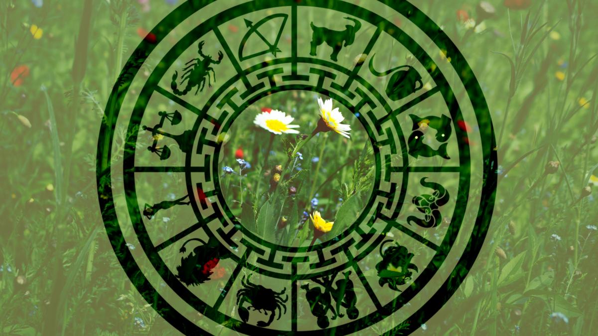 maria-victoria-portelles-g4l4ol_kkee-unsplash