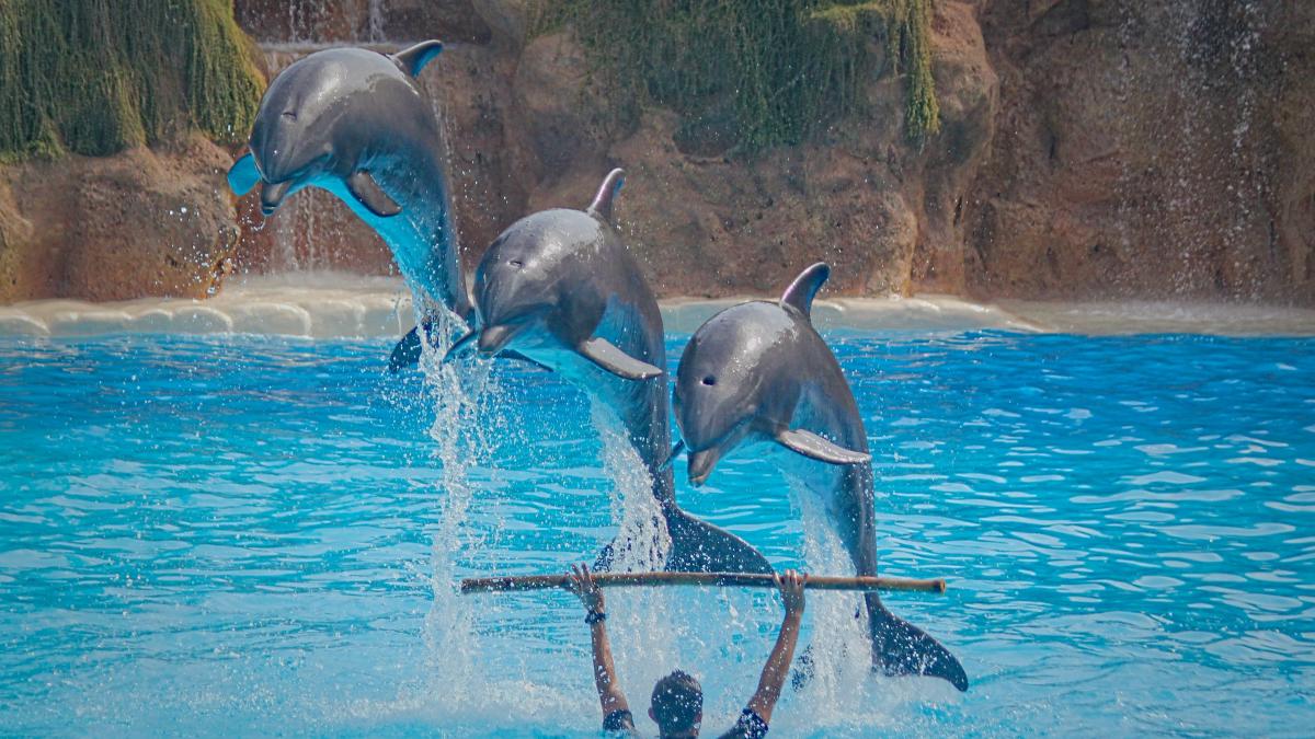 dusan-veverkolog-no-tt45ccew-unsplash