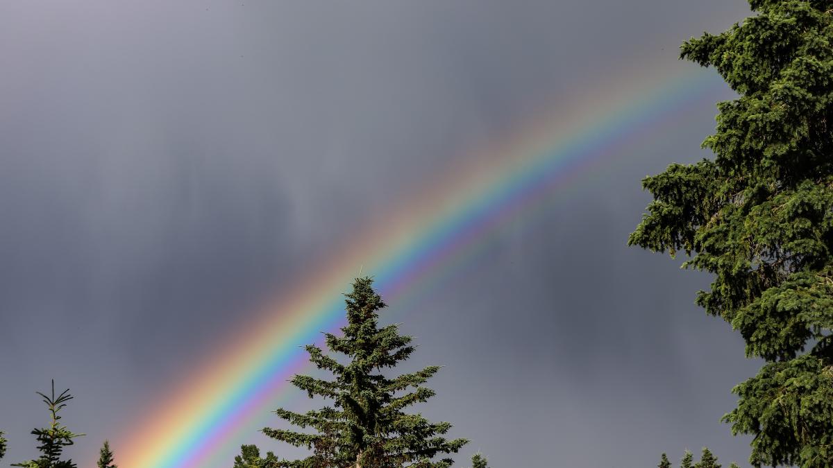 kym-mackinnon-0sazvxczjh4-unsplash