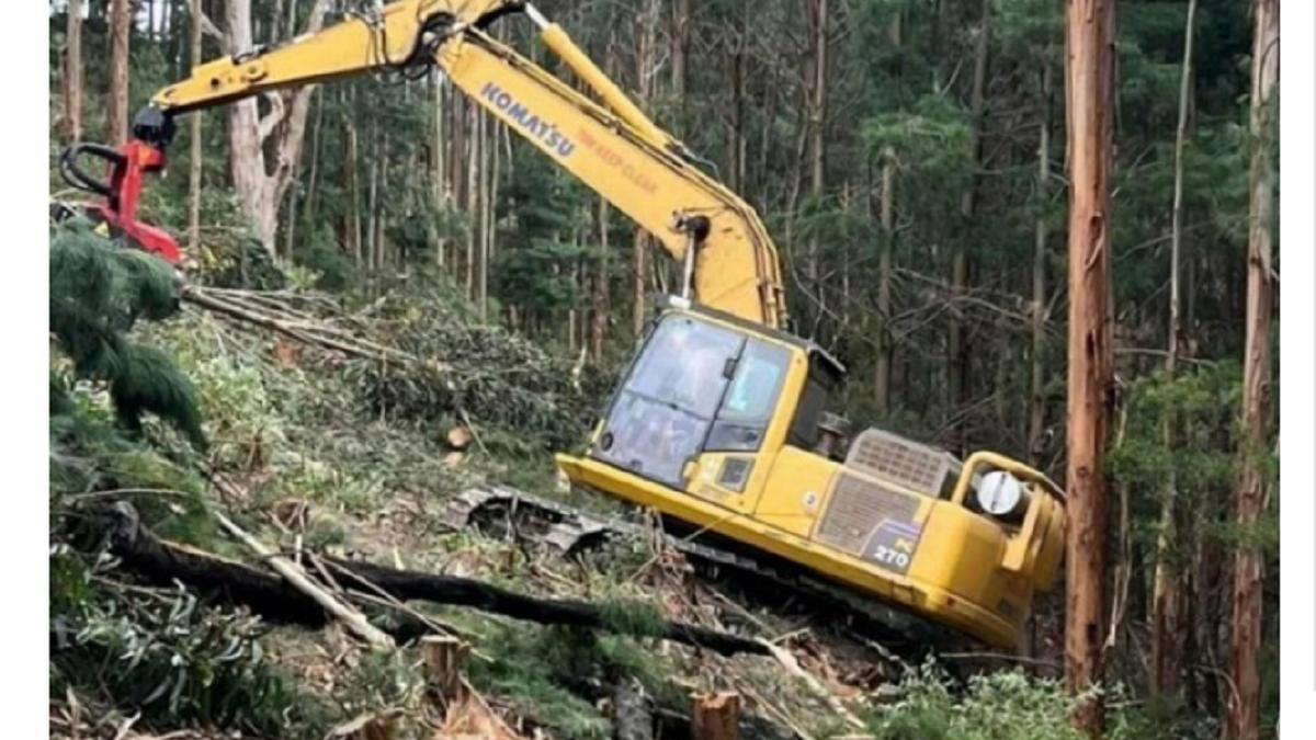 detaliu-infricosator-intr-o-fotografie-a-unui-muncitor-la-bordul-unui-excavator-dupa-ce-a-dat-zoom-pe-fotografie-a-vazut-prc-e2prc-80prc-9efantoma-unui-baietelprc-e2prc-80prc-9d---foto-1