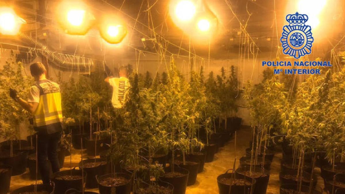 spania--trei-romani-se-ocupau-de-o-adevarata-comoara-au-fost-retinuti-de-politia-nationala