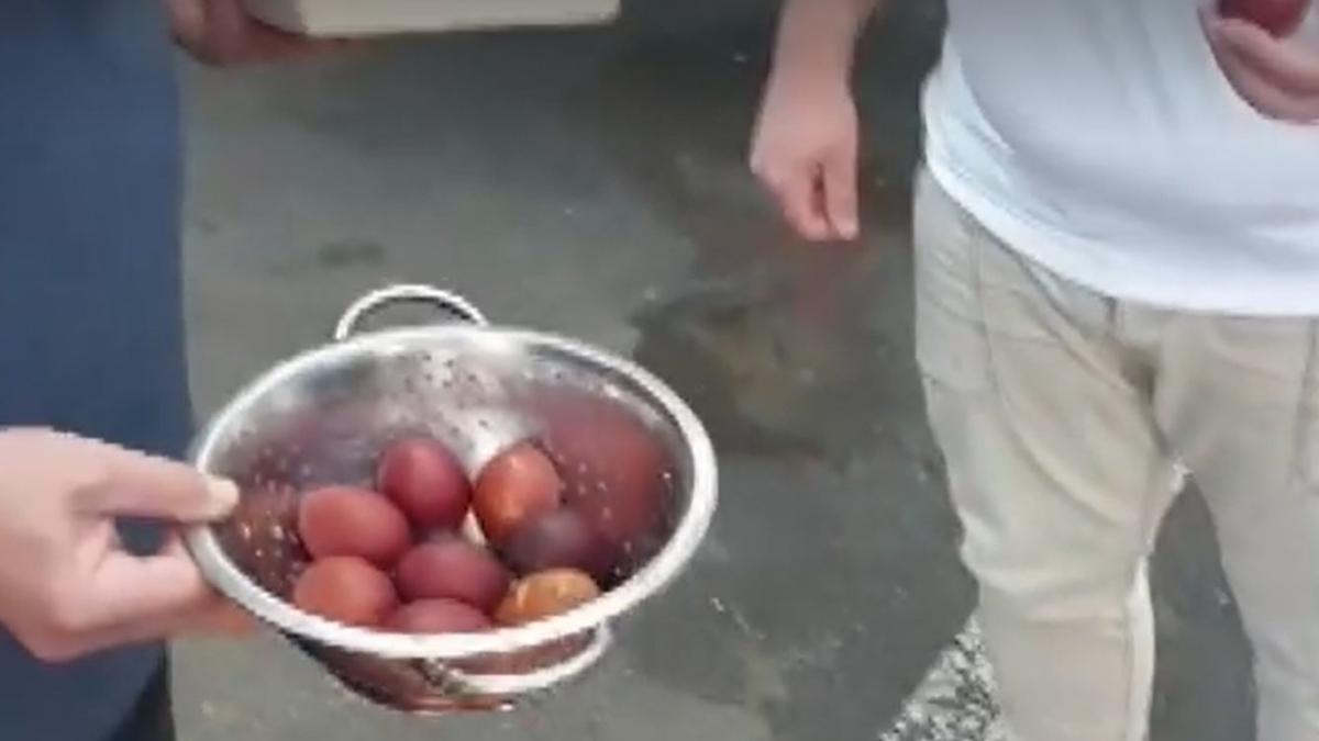 romanii-din-diaspora-au-impartit-oua-rosii-si-pasca-soferilor-de-camioane-care-isi-petrec-pastele-departe-de-casa