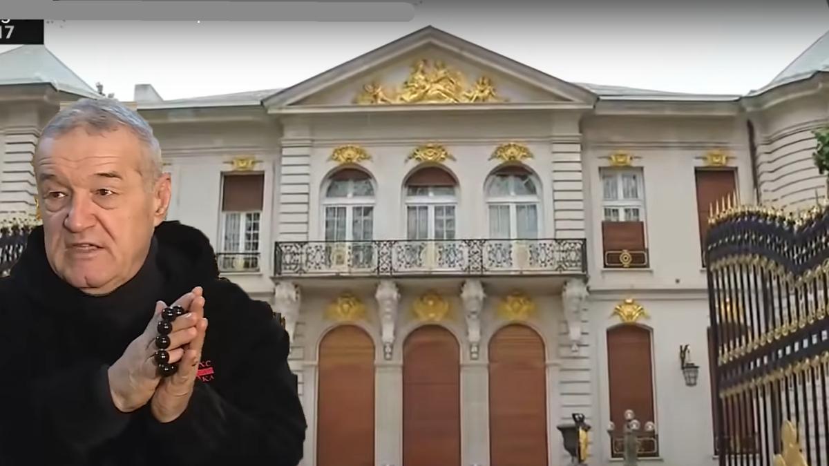 palat-gigi-becali-vandut