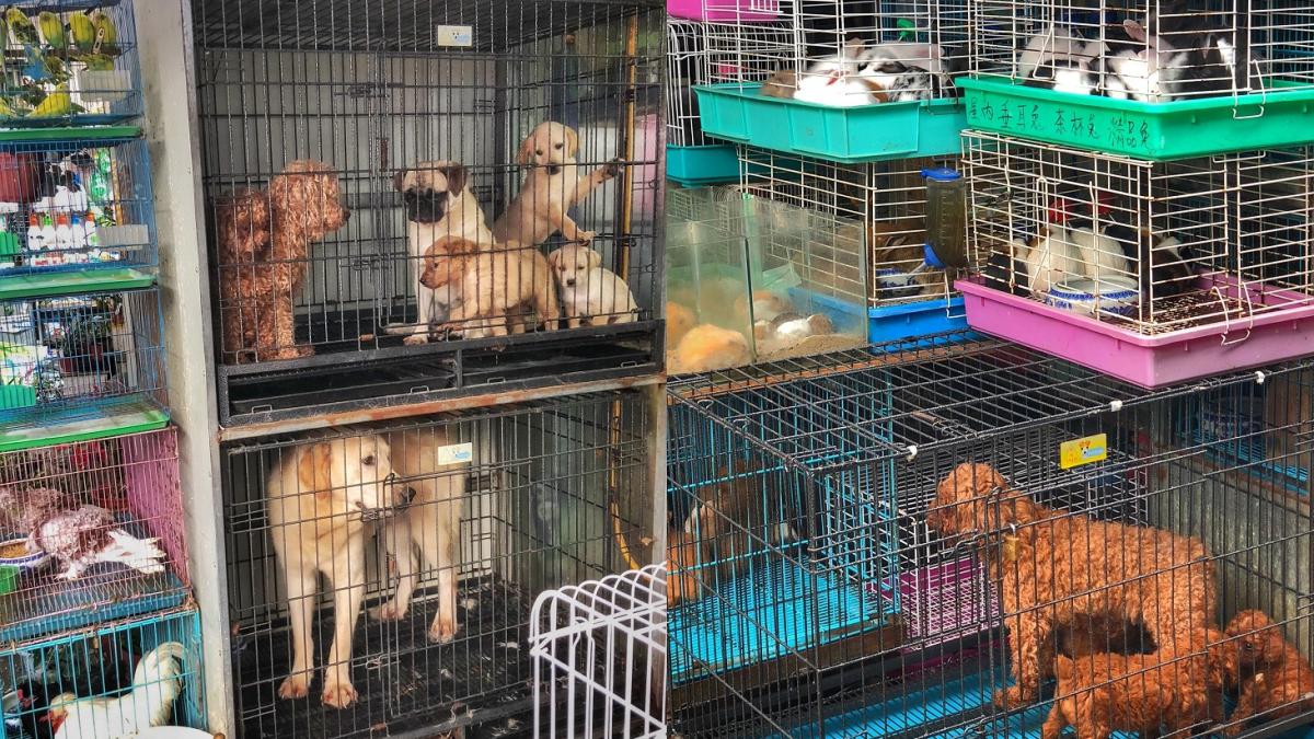 bernd-dittrich-hk5lq8ce56k-unsplash