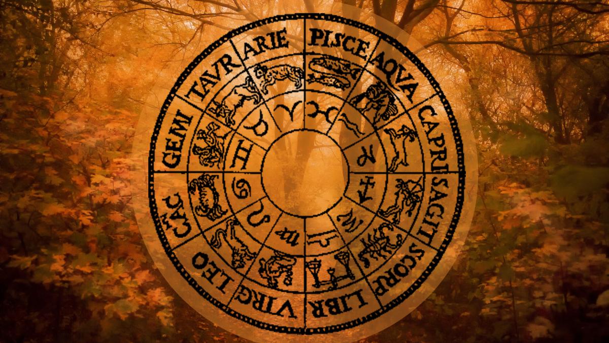 simon-berger-1xqfyqimgos-unsplash