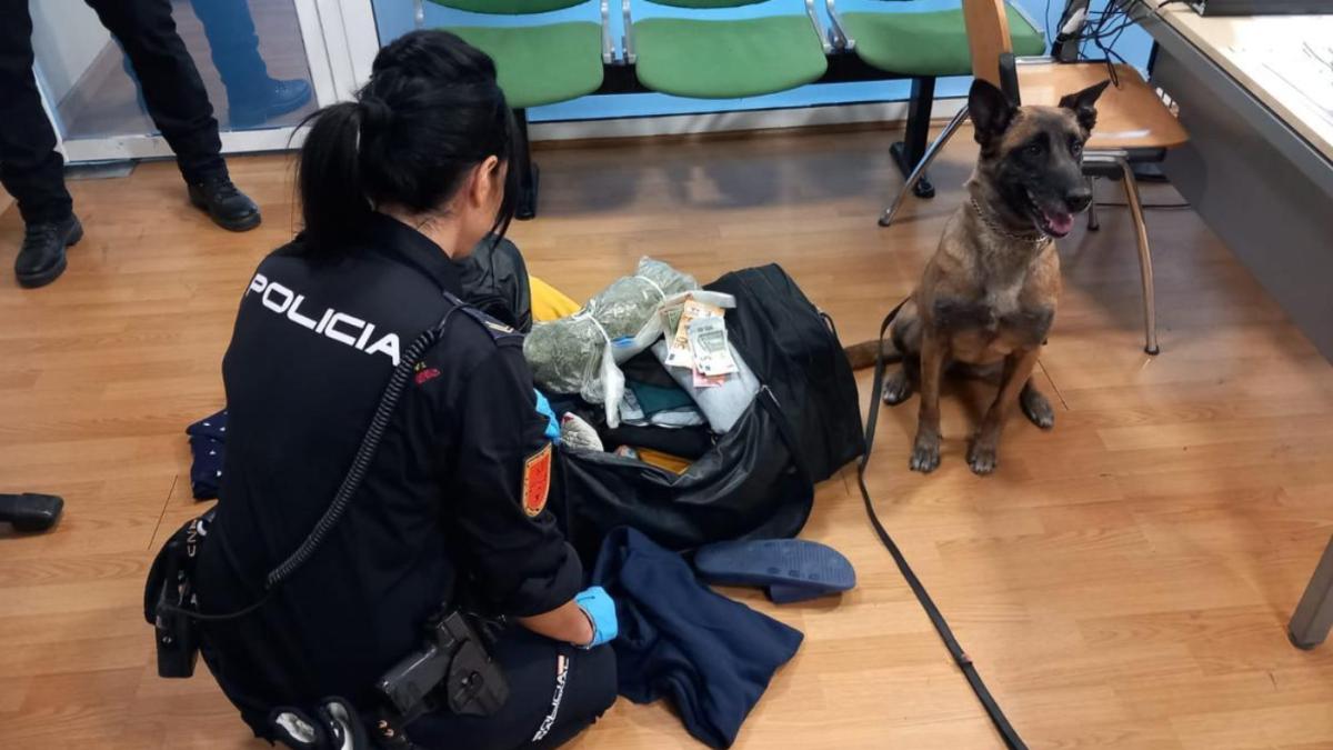 spania-droguri-roman