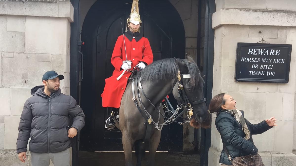 cal-rege-tras-de-par