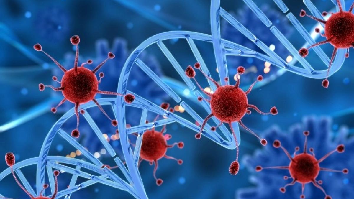 cercetatorii-au-descoperit-un-nou-tip-de-coronavirus-de-origine-canina