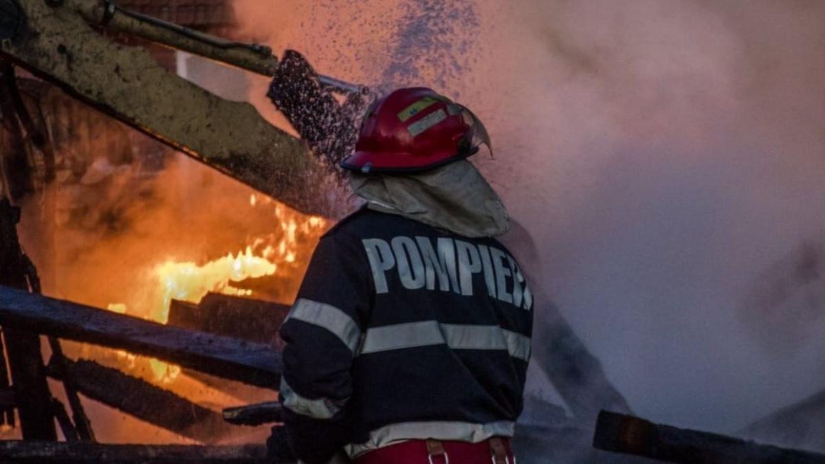 incendiu-masiv-la--o-hala-de-depozitare-a-lemnului-din-drobeta-turnu-severin--focul-a-fost-pus-intentionat