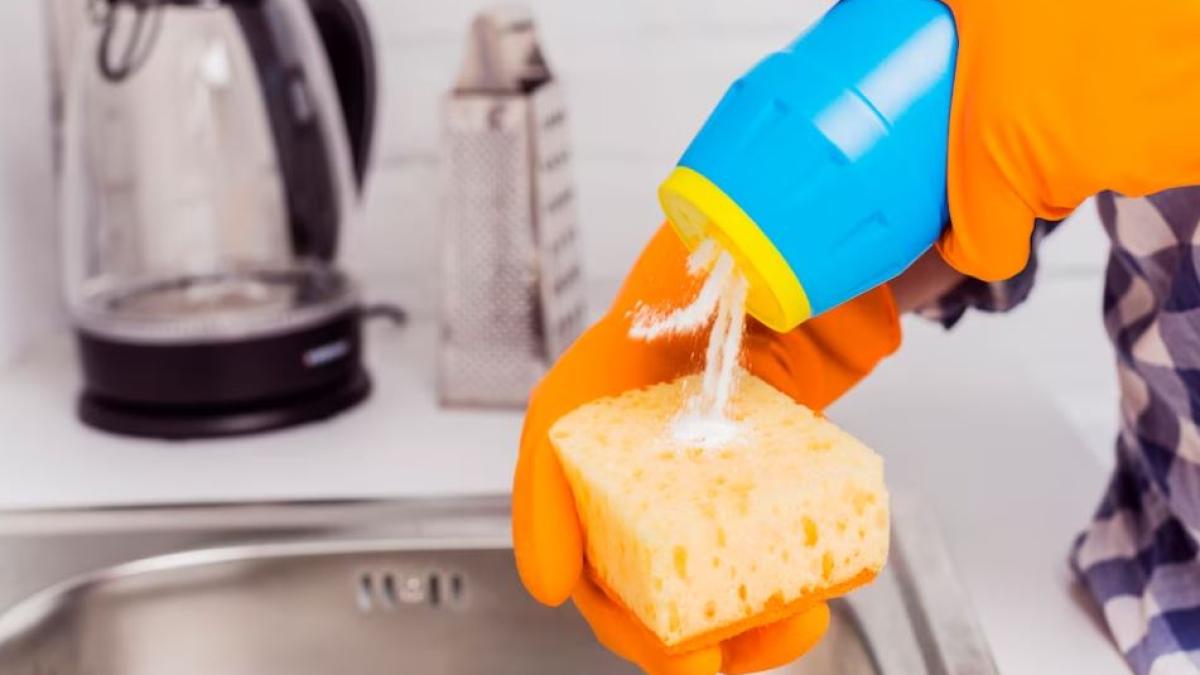 pune-pe-buretele-de-bucatarie--doar-gospodinele-cu-experienta-fac-asta--iata-expicatia