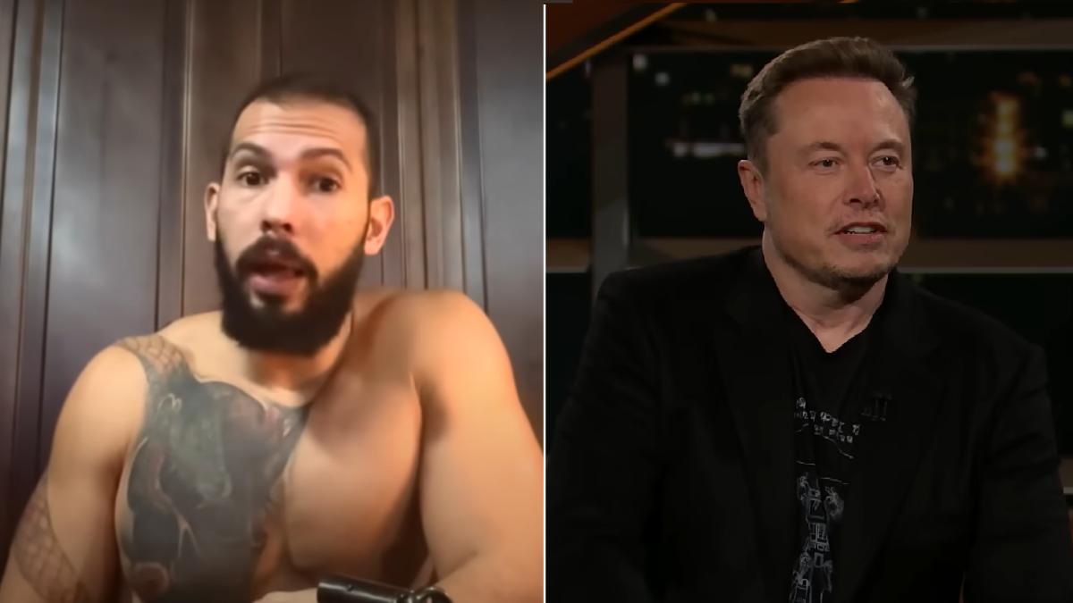 andrew-tate-vs-elon-musk