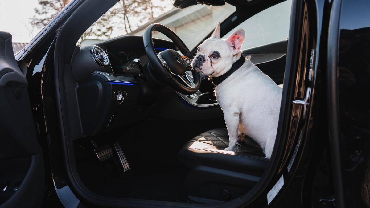 jeppe-monster-kvo0ayfk4iy-unsplash