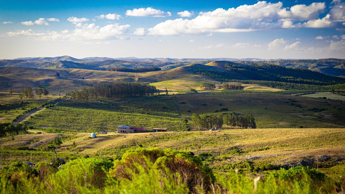 uruguay-tara-asemanatoare-cu-romania