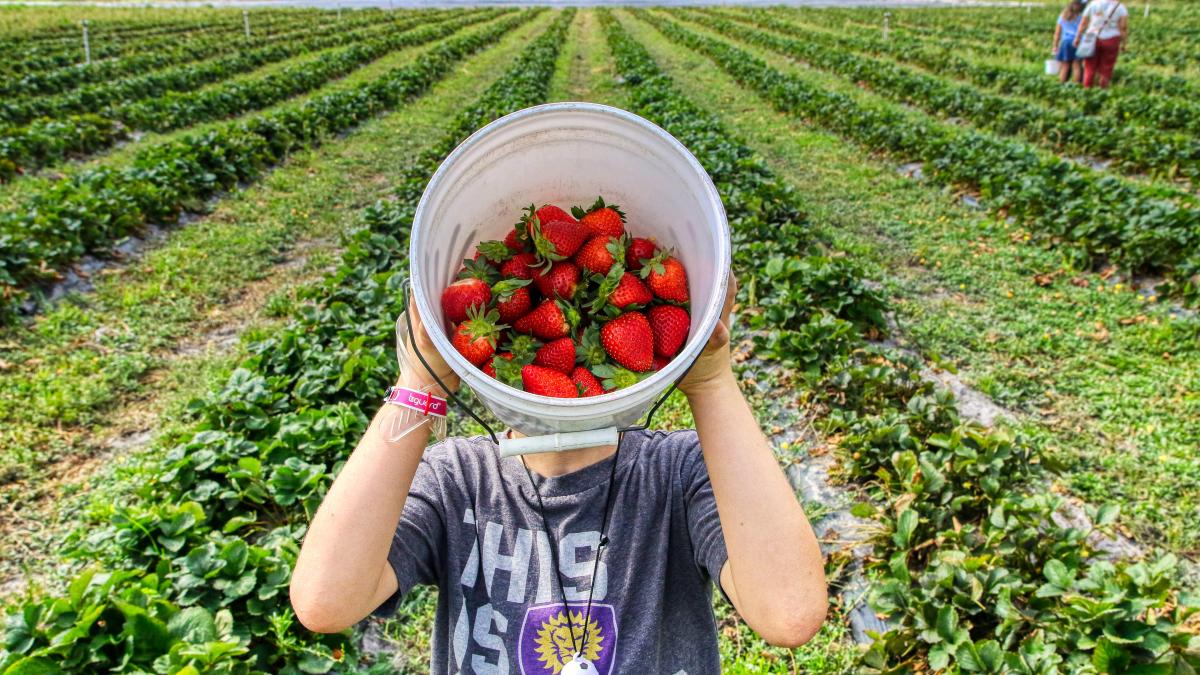 mick-haupt-ooqslhnmhky-unsplash