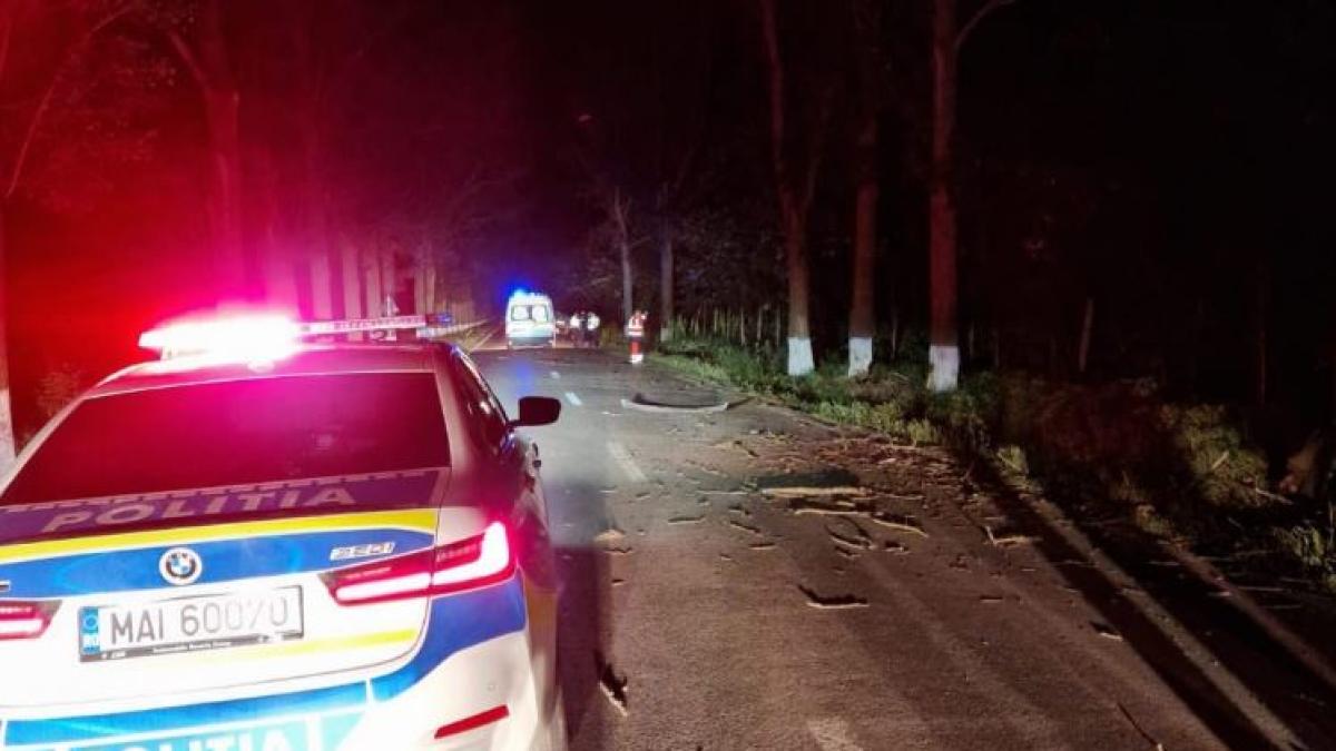 familie-de-romani--ingenunchiata-de-durere--un-tanar-a-murit-pe-loc--dupa-ce-a-intrat-cu-masina-intr-un-copac