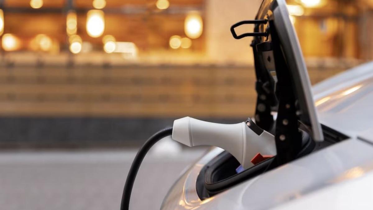 italia--roman--prins-in-timp-ce-fura-curent-de-la-primarie-pentru-a-si-incarca-masina-tesla