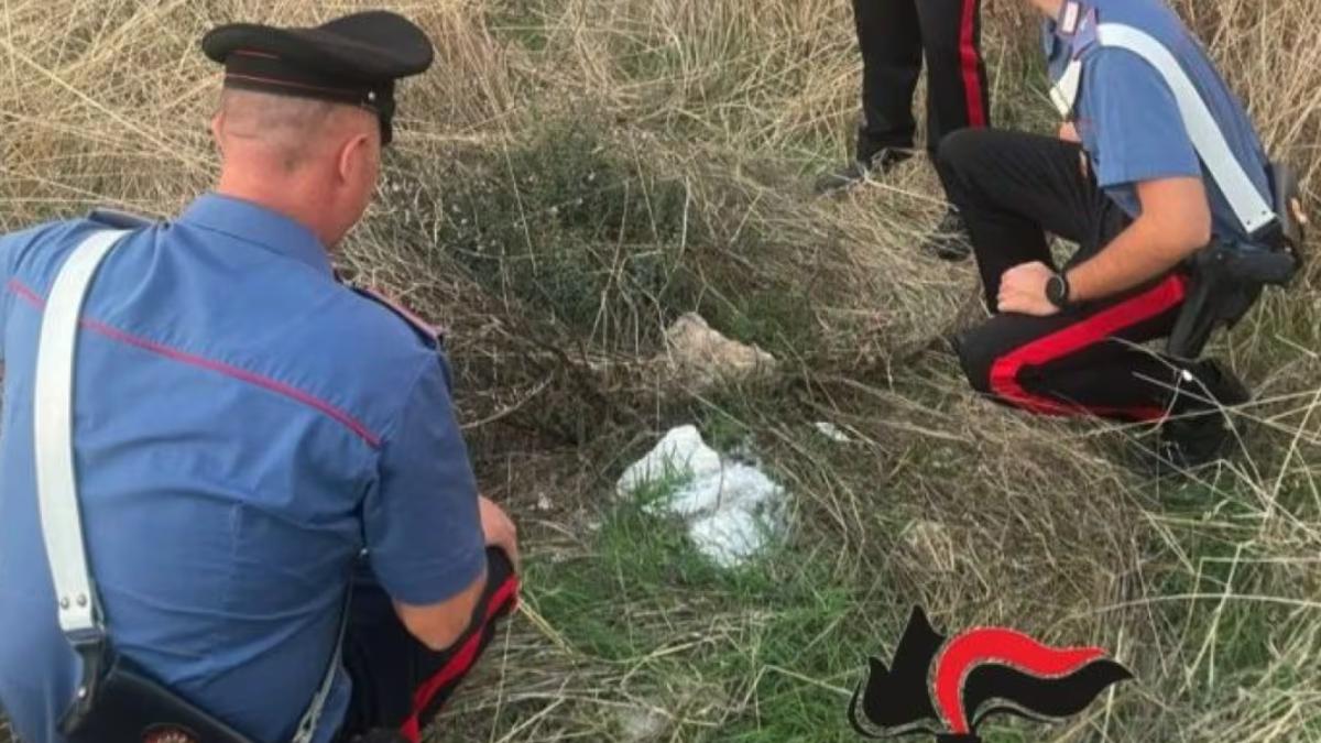 bebelus-camp-abandona