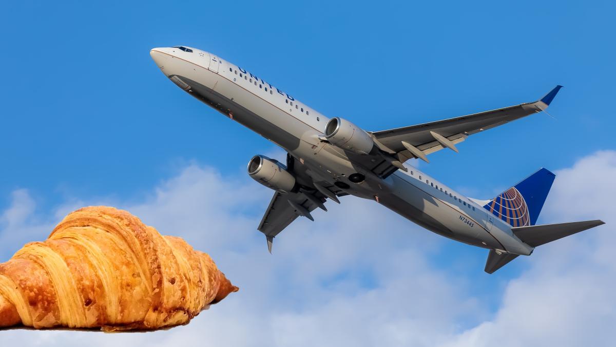 nick-morales-bwych78rcpi-unsplash