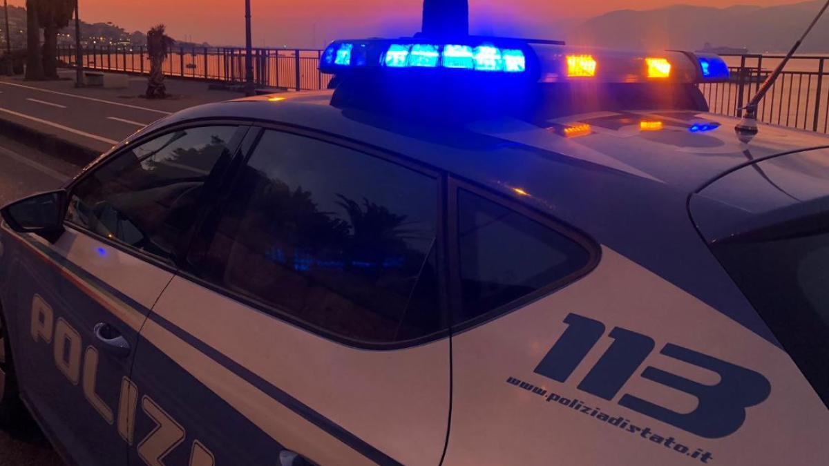 italia--soferul-roman-al-unei-dube--in-drum-spre-germania--arestat-imediat-dupa-ce-a-fost-tras-pe-dreapta