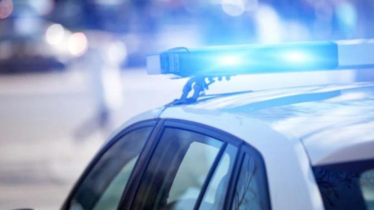 bulgaria--sofer-roman--tras-pe-dreapta--politistii-l-au-retint-dupa-ce-au-verificat-camionul