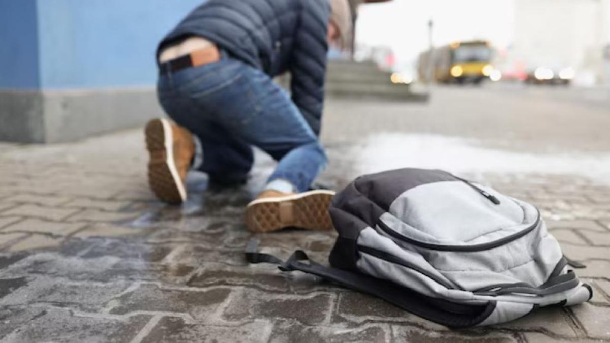 austria--un-roman-a-atacat-si-ranit-un-trecator-pentru-o-suma-mica-de-bani--politistii-l-au-dus-la-inchisoare