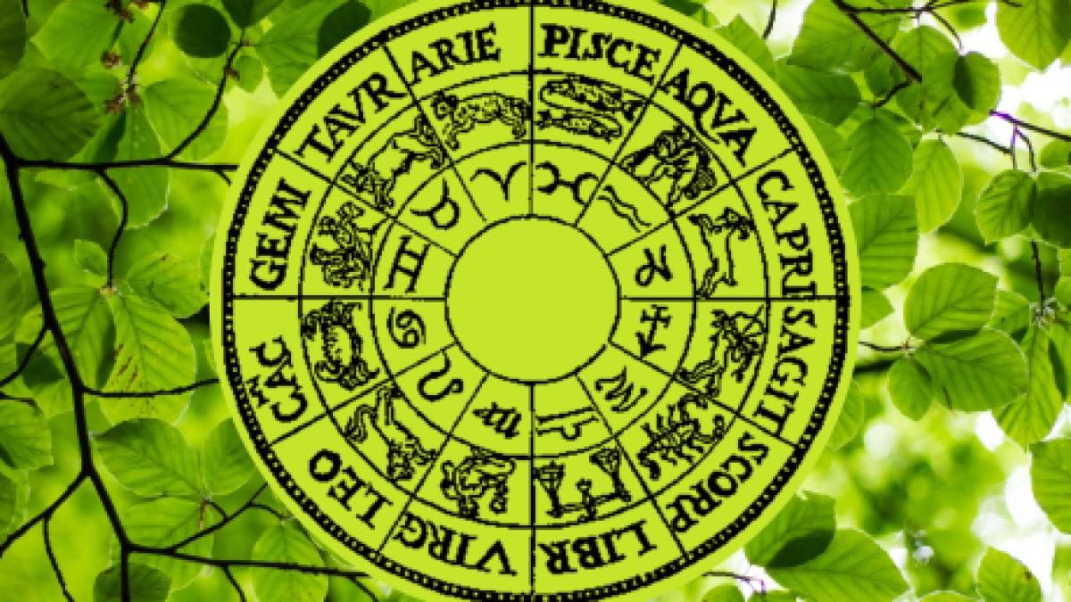 horoscop-zilnic--7-iunie-2023--capricornii-trag-biletul-norocos-le-cresc-veniturile-taurii-refac-legaturi-cu-persoane-din-trecut--previziuni-complete