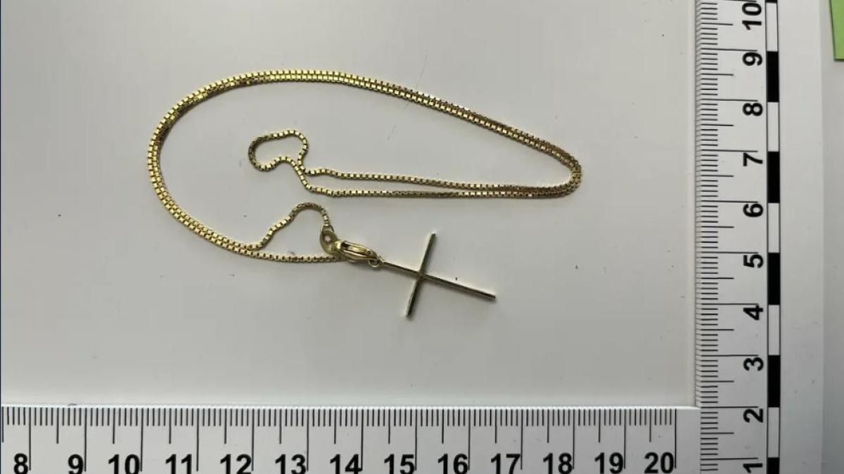 elvetia--un-roman-a-comis-circa-30-de-spargeri--hotul-avea-o-slabiciune-pentru-bijuterii-si-monede