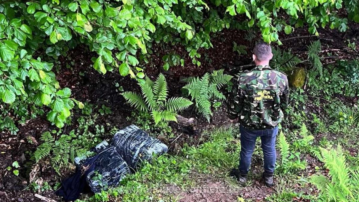 s-au-tras-focuri-de-arma-la-frontiera-romaniei--doi-barbati-au-reusit-sa-si-fuga-in-padure