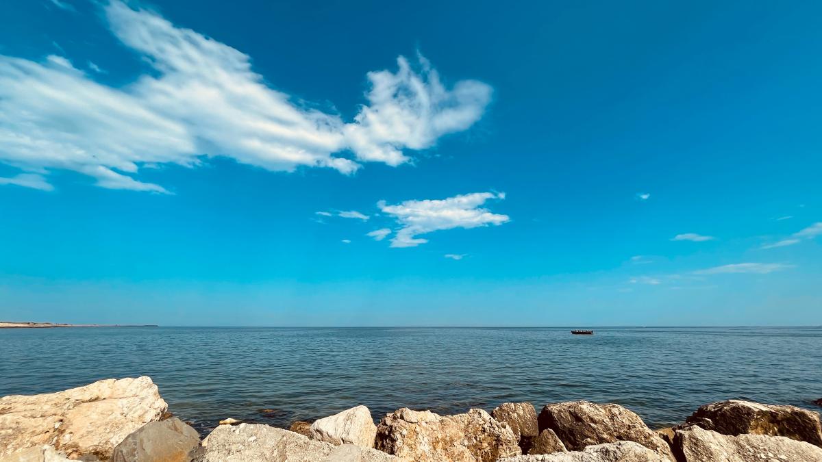 alexandru-g-stavrica-mjso1x63qry-unsplash