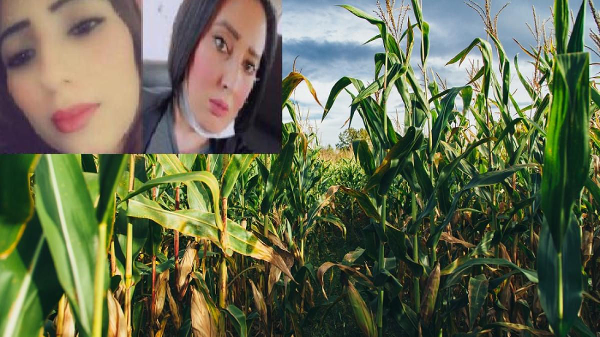 jesse-gardner-jyu14tnbfoa-unsplash