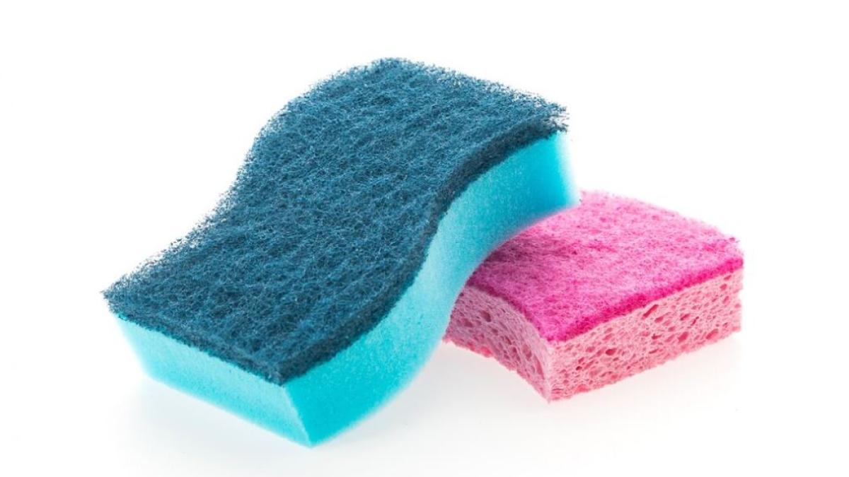 pune-sare-pe-buretele-de-bucatarie--trucul-gospodinelor-istete-a-fost-dezvaluit