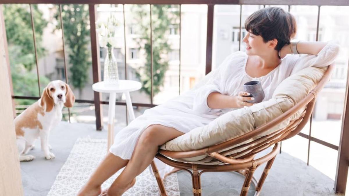 cum-sa-scazi-temperatura-din-casa-vara--daca-nu-ai-aer-conditionat--trucuri-dovedite