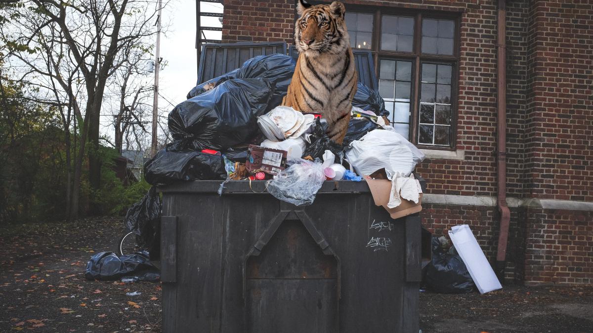 kenny-eliason-8yk4t-tdsyy-unsplash