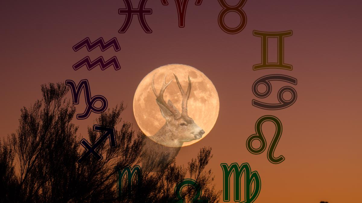 ganapathy-kumar-9kbsq91nfwg-unsplash