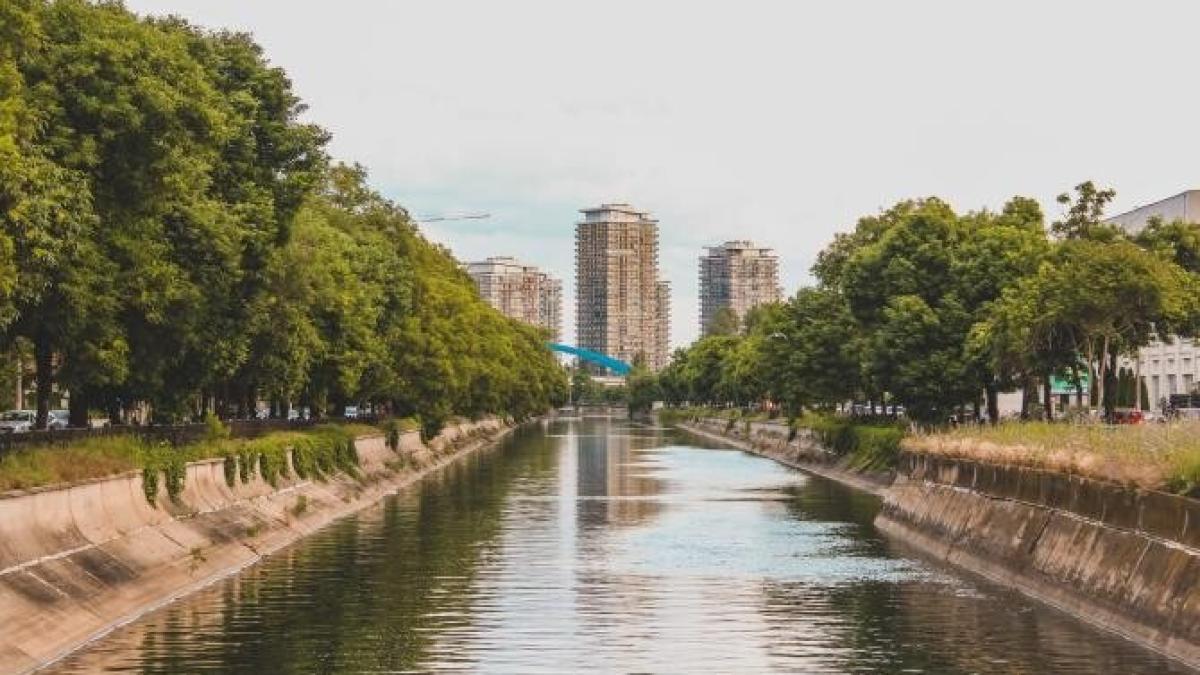 bucuresti_dude_copac_valcu_bulai_pxl_11574300