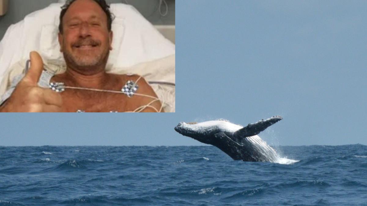 vipin-kumar-nqian1jmsrw-unsplash