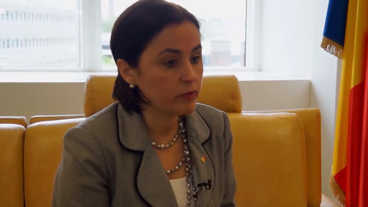 luminita-odomescu-mae