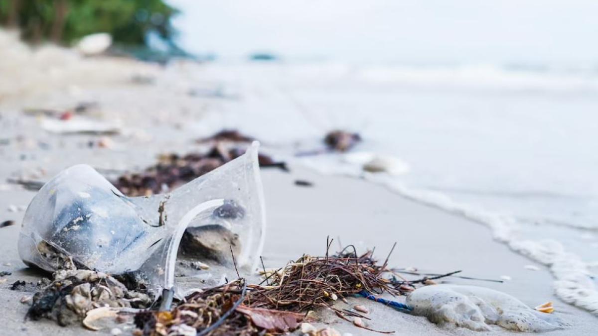 o-profesoara-si-a-luat-concediu-un-an-pentru-a-curata-mediterana--a-strans-3-tone-de-plastic-in-7-luni