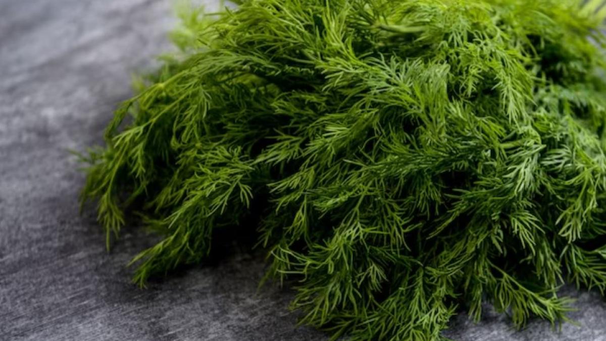 atarna-o-legatura-de-marar-in-fata-usii-de-la-intrare-si-vezi-ce-se-intampla