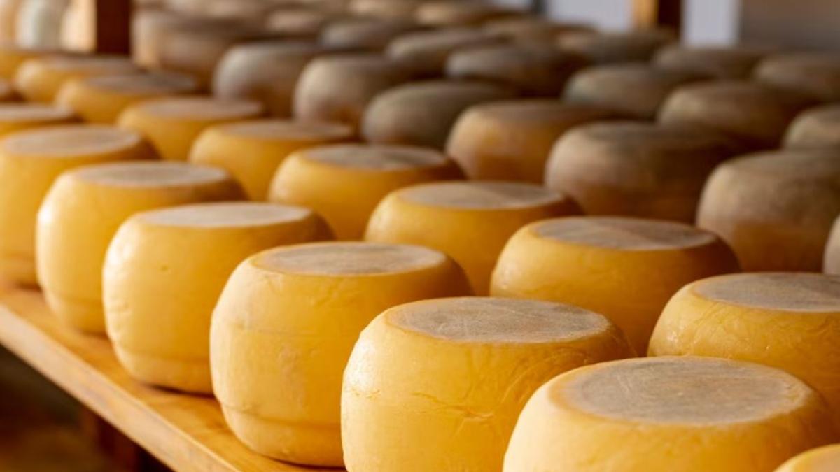 pentru-prima-data--elvetia-va-importa-mai-multa-branza-decat-exporta