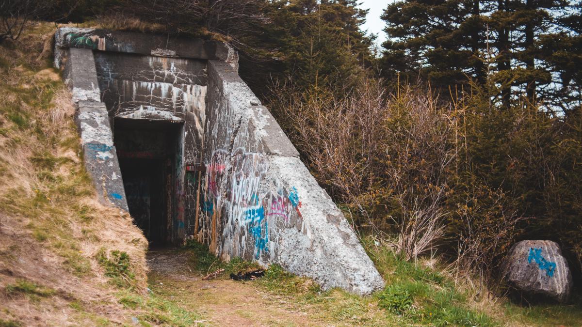 erik-mclean-d8qiffaiwh4-unsplash