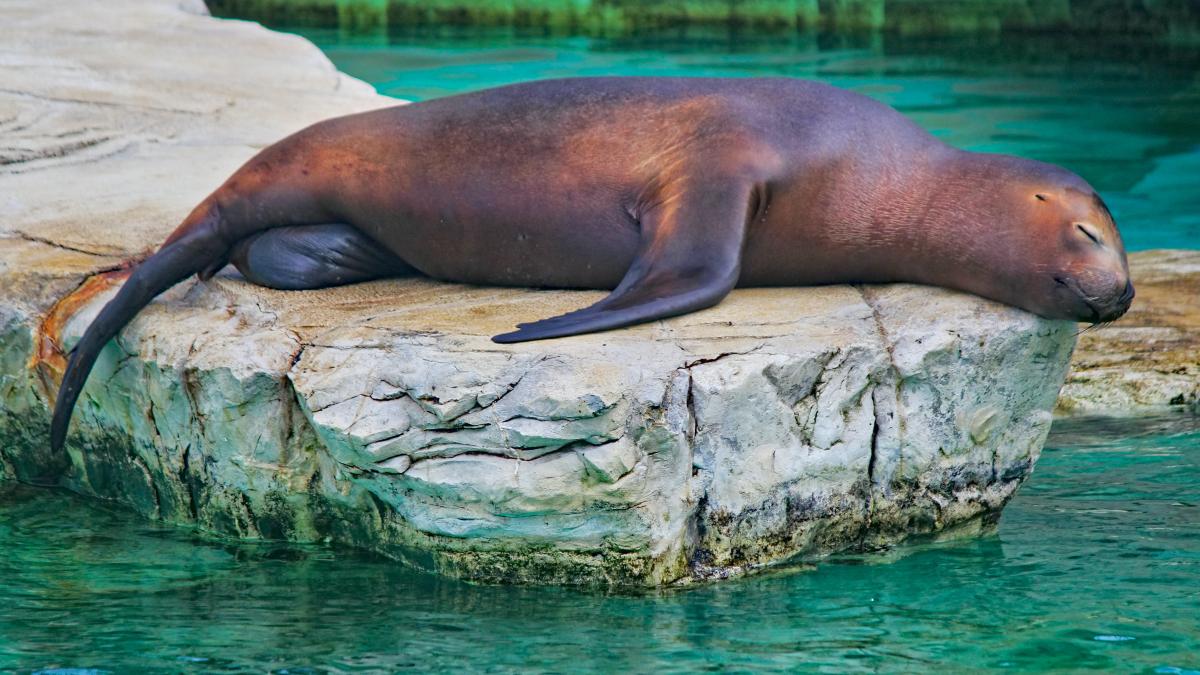 dusan-veverkolog-rvo_o5w-bmk-unsplash